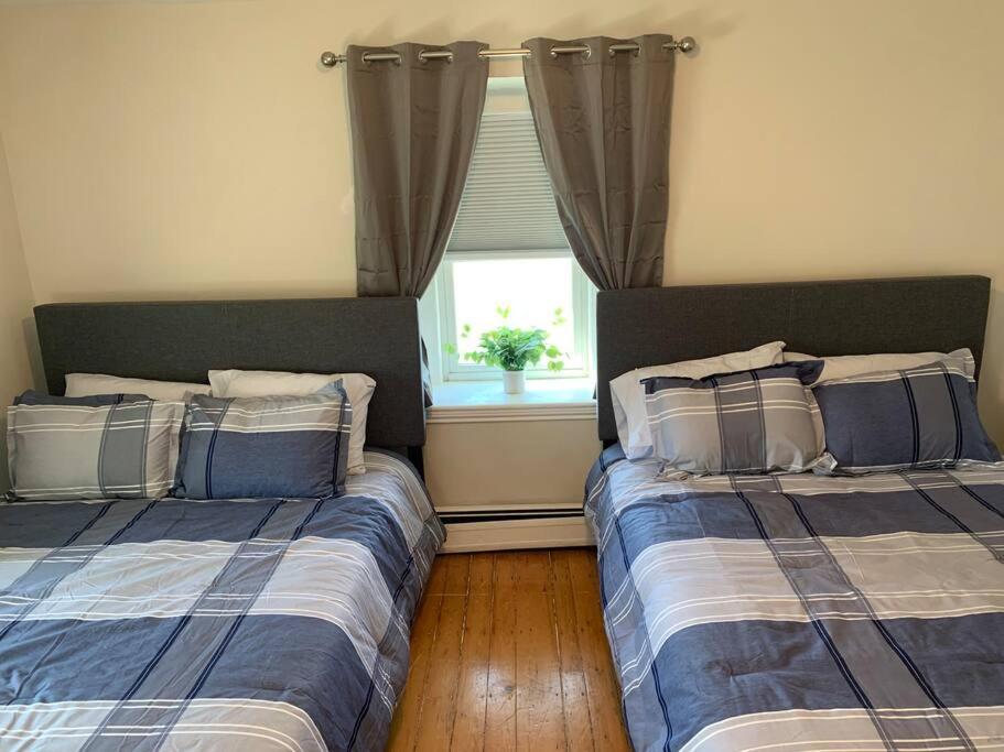 Apartment Cozy Cambridge
